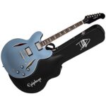 Epiphone - DG-335 Dave Grohl Signature + Estuche
