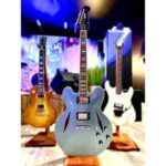 Epiphone - DG-335 Dave Grohl Signature + Estuche - Imagen 17